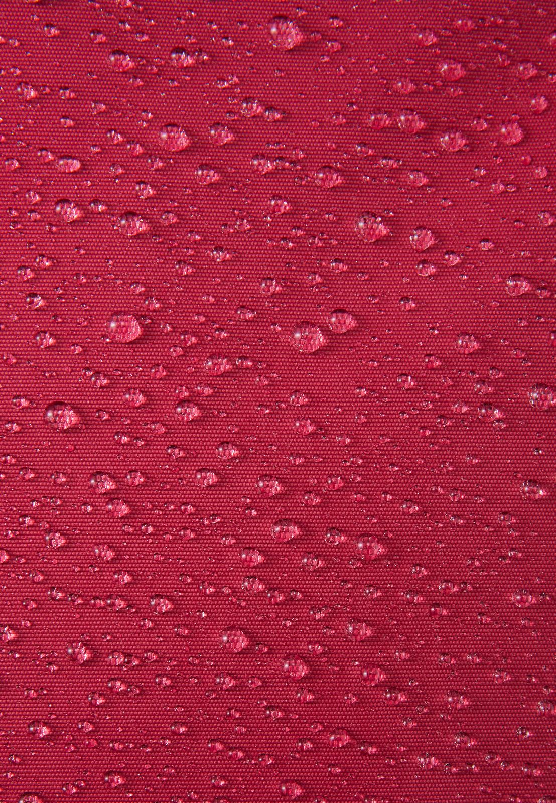 5100117C-39C0-1557_4i.jpg