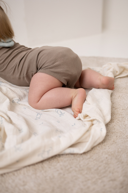 Mumin Muslinfiltar 2-Pack, Blue