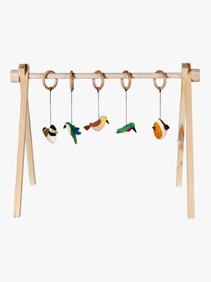 Quax Dino Aktivitetsleksaker 5 Delar