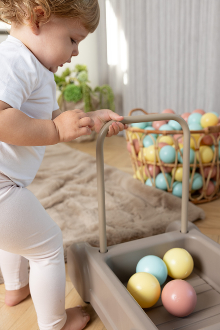 Dantoy Tiny Lära-gå-vagn