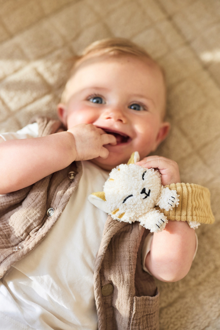 Jollein Handledsskallra, Charlie Cat