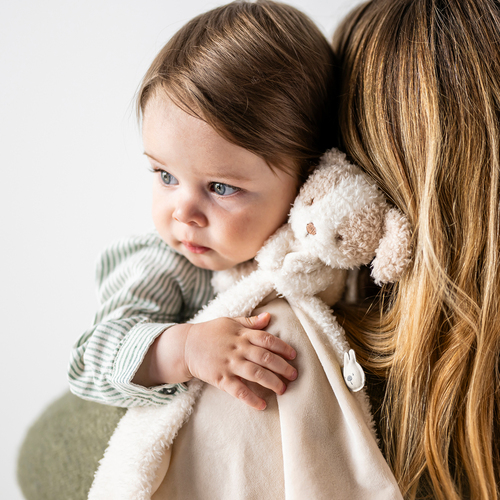 Nattou Teddy Snuttefilt Hund, Vanilla