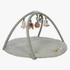 Little Dutch Little Farm Babygym