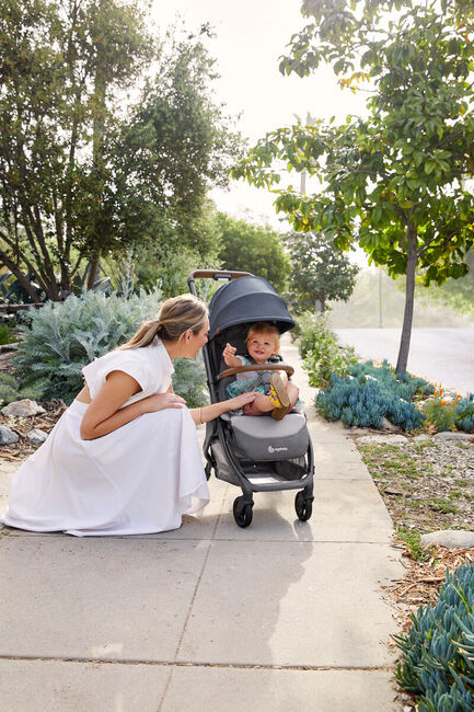 Ergobaby Metro+ Deluxe Sulky, London Skyline Shadow