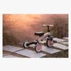 1893241_T80-Pink-1895_4b.jpg