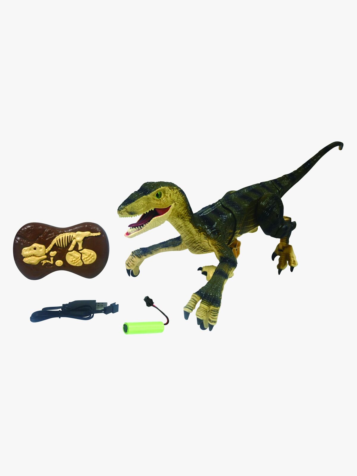 DINO01-2823_3b.jpg