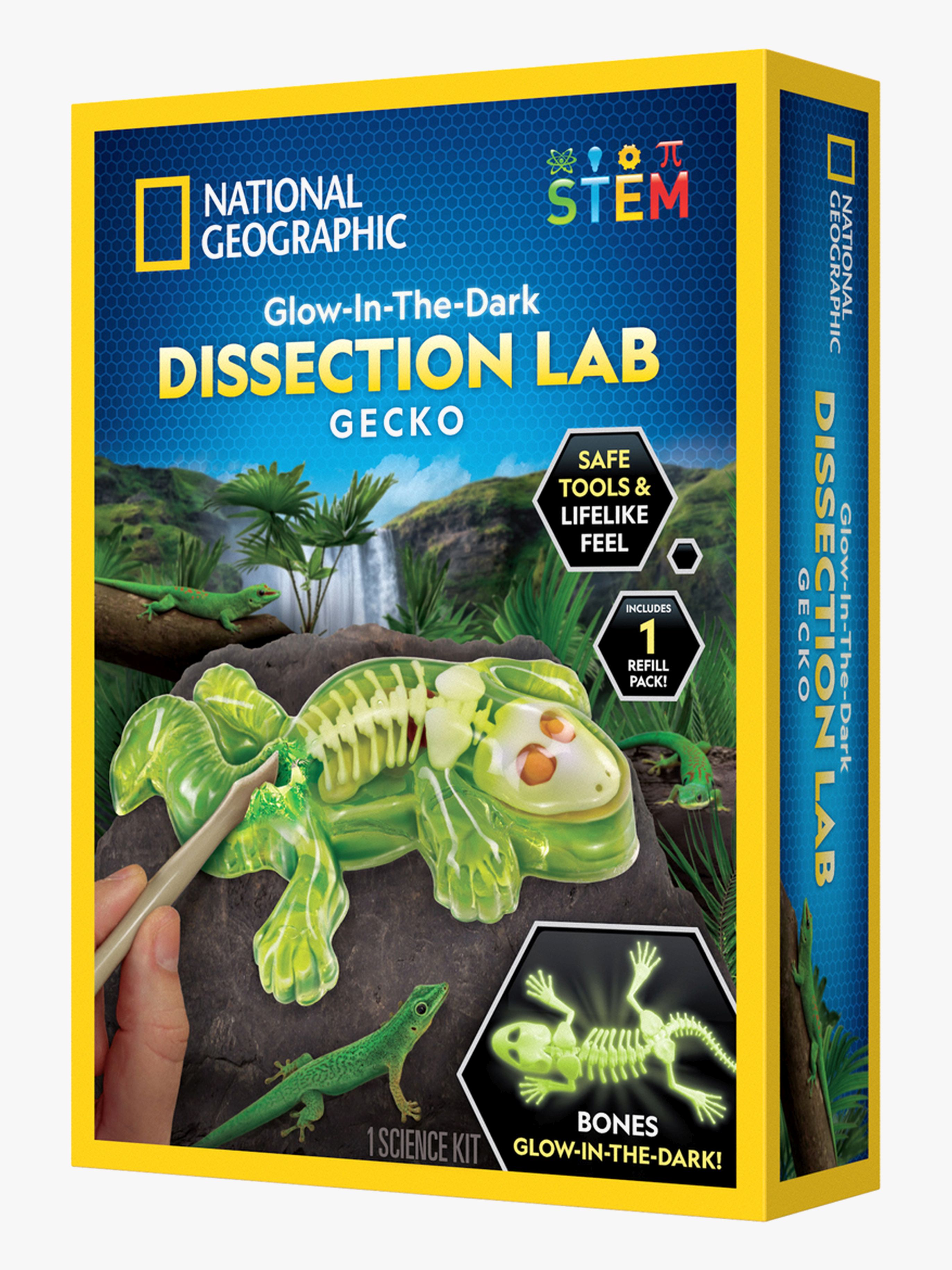 National Geographic Gecko Dissektionslabbkit