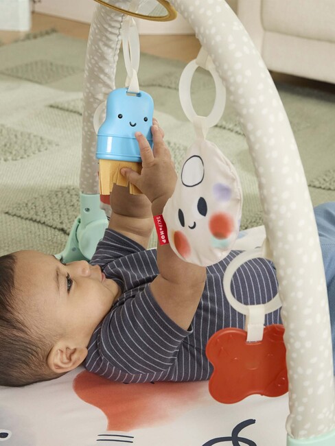 Skip Hop Painted Dreams 4-in-1 Babygym 22033-30-1124_4a.jpg