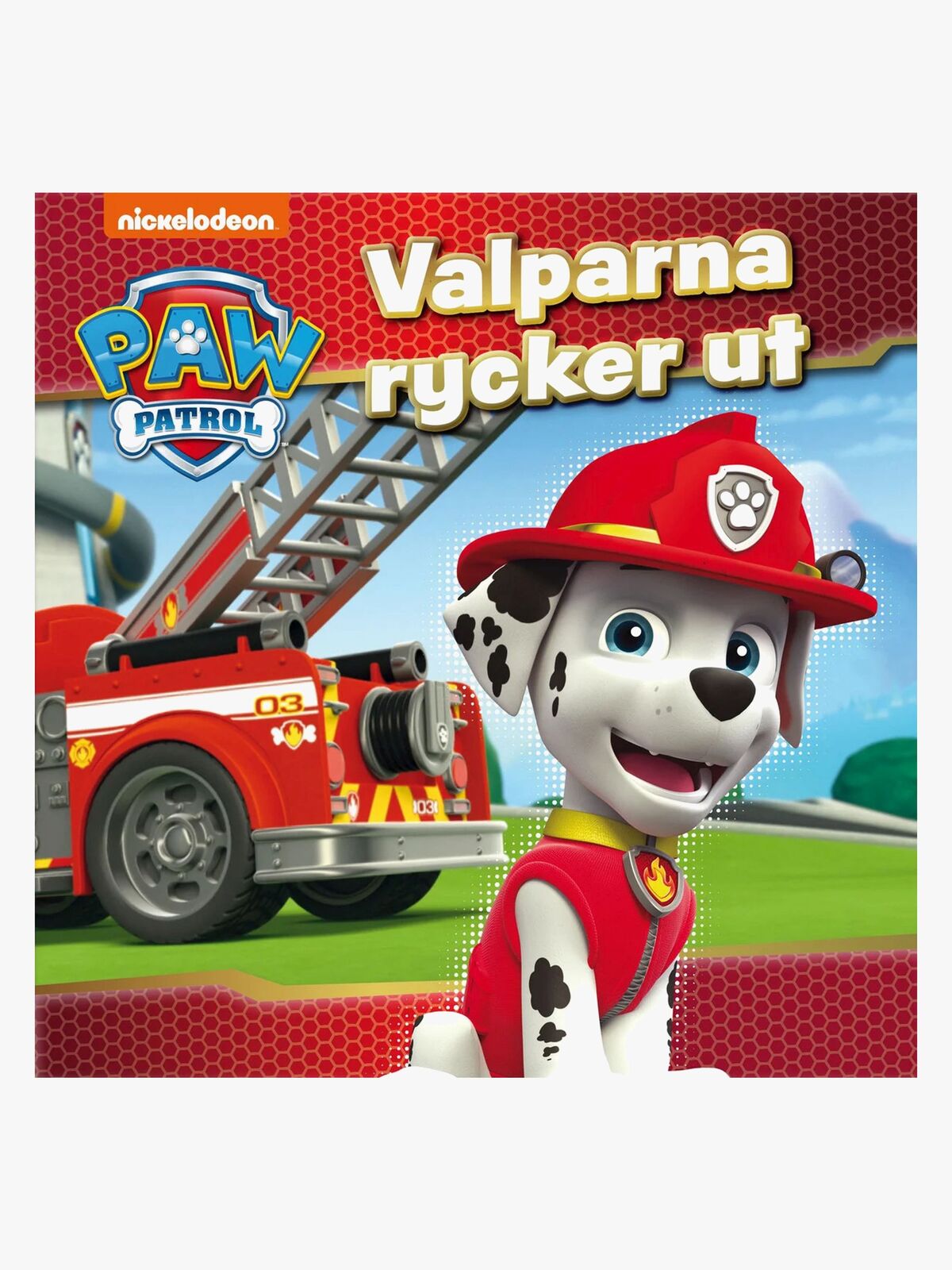 91pawpatrolbok-1161-2540_1.jpg