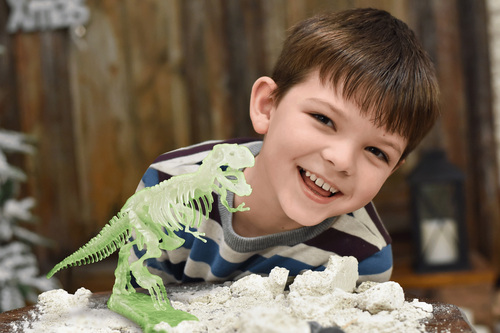 Toyrock Steam Fossilset T-rex Glow In The Dark