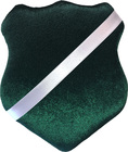 Aquarapid AWP Sheld for Swimming badges, Dark Green