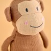 K1FILT-4-3-1116_4c.jpg
