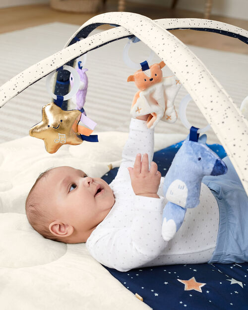 Skip Hop Celestial Dreams Babygym