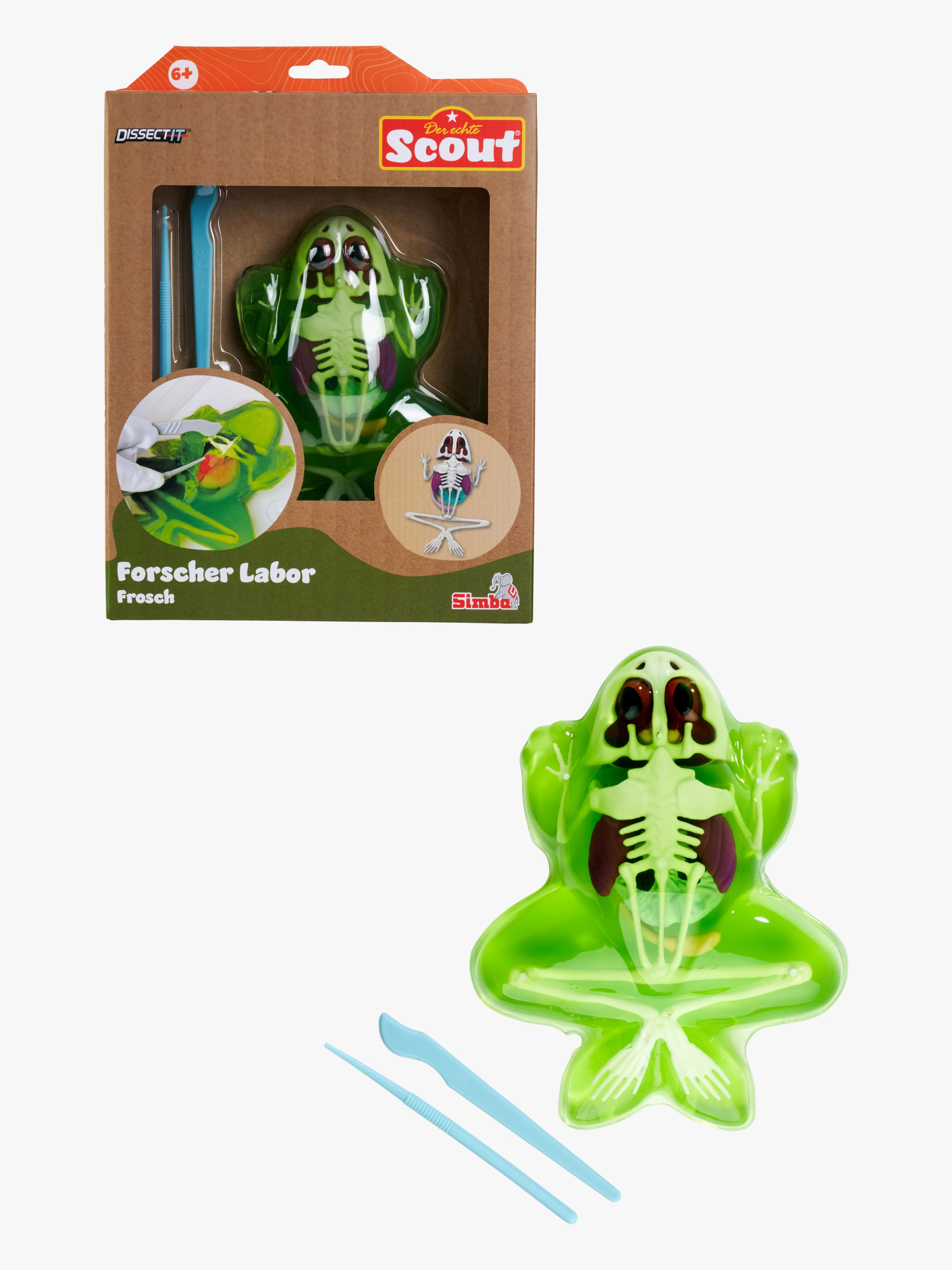 Simba Toys Dissektionsset Groda