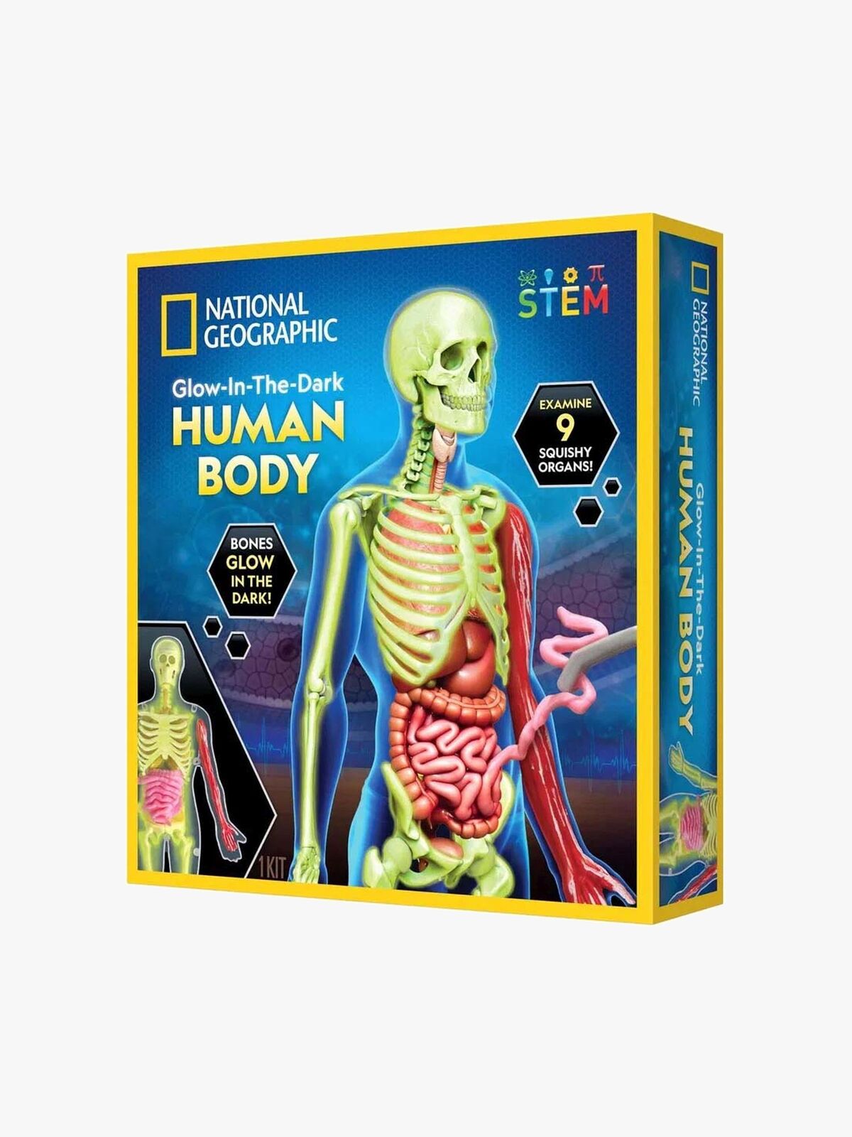 National Geographic Människokropp Vetenskapskit
