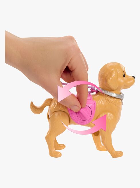 Barbie Family & Friends Malibu Lekset Hundrastning