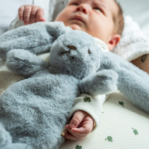 That's Mine Houston Tyngdgosedjur Kanin 0,13 kg, Blå