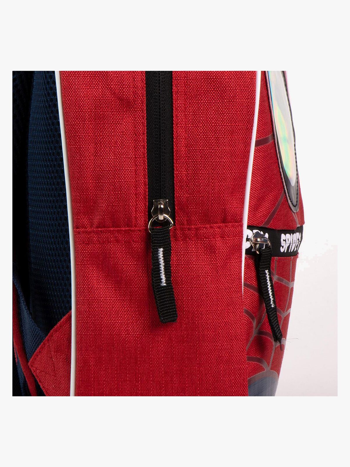 2100005880-4656_3b.jpg