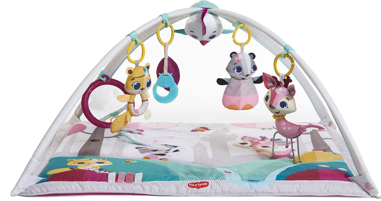 Tiny Love Gymini Deluxe Princess Tales Babygym Multi