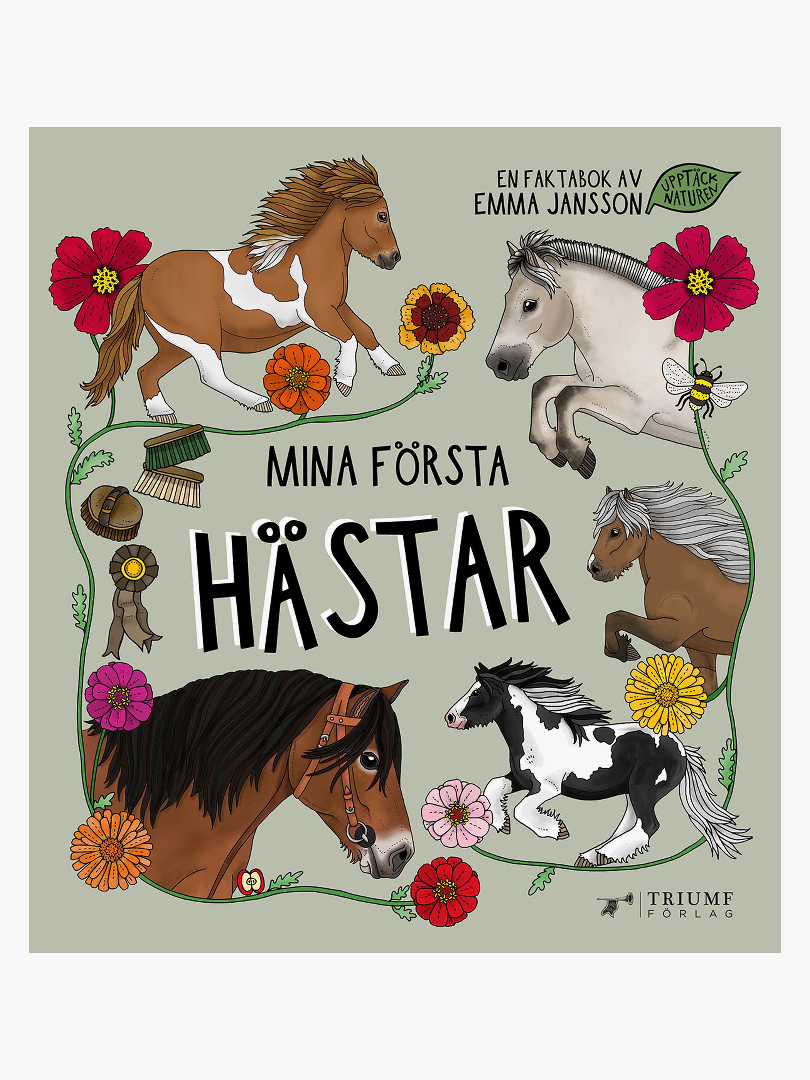 Mina första hästar