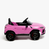 8540099-2R-PINK-2896_3a.jpg