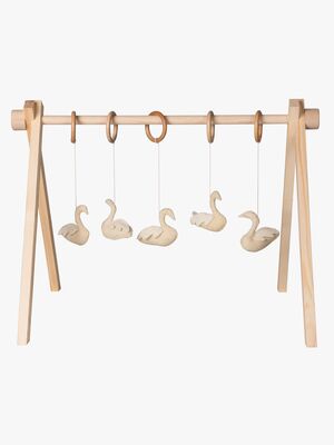 Quax Swan Aktivitetsleksaker 5 Delar