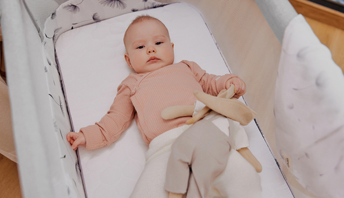 Lionelo Aurora Bedside Crib 3-i-1, Green Sage
