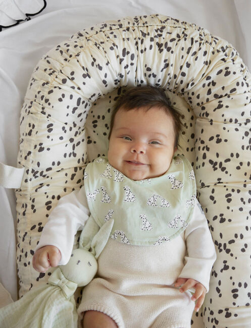 Elodie Dry Haklapp, Darling Dalmatians