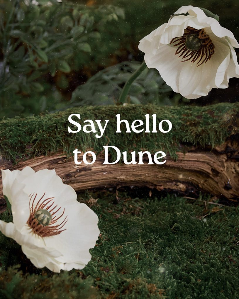 Alice_&_Fox_Banner_815x1020_Kollektioner_Dune.jpg