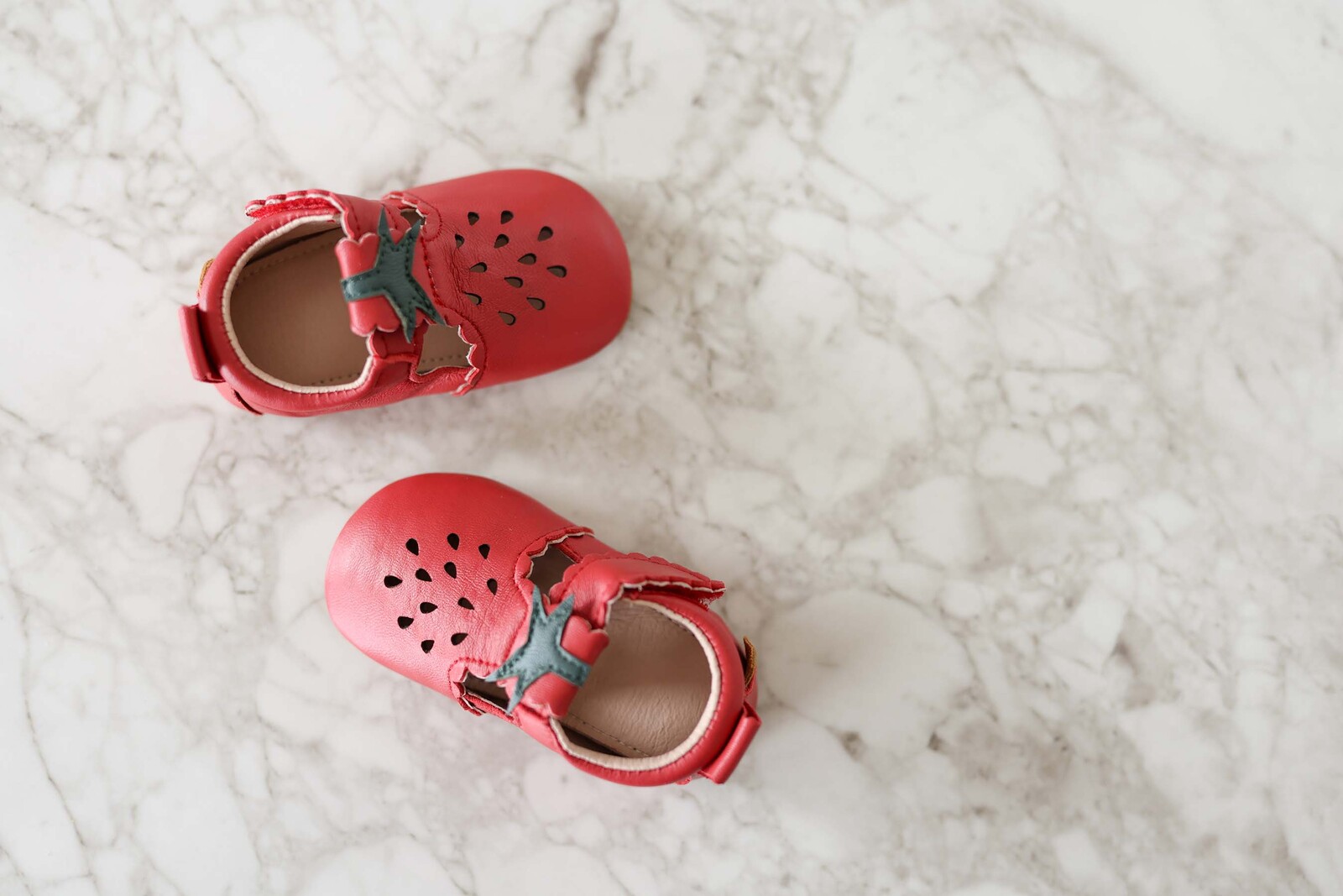 20019-Canyon Rose-4548_4a.jpg
