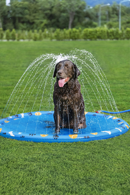 Bestway Djurpool Fetchin' Fun