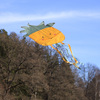 C2586-1116_4a.jpg
