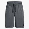 Under Armour Prototype Wordmark Shorts, Stealth Grey