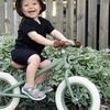 S300-12-GreenSwamp-2795_4a.jpg