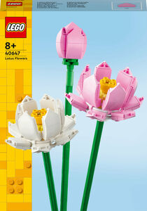 LEGO Iconic 40647 Lotusblommor