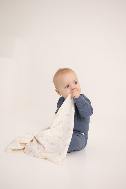 Mumin Muslinfiltar 2-Pack, Blue