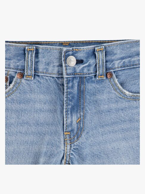 Levi's LVB Skate Shorts, From Scratch