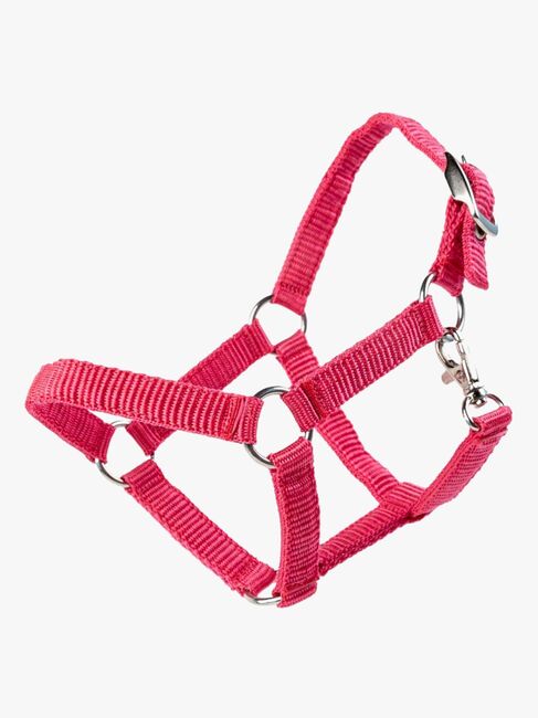 My Hobby Horse Grimma, Rosa