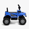 7050327-BLUE-2896_3b.jpg
