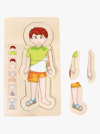 Small Foot Pussel Anatomi, Grön