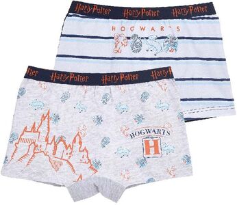 Harry Potter Boxers 2-pack, Grey