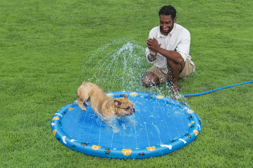 Bestway Djurpool Fetchin' Fun