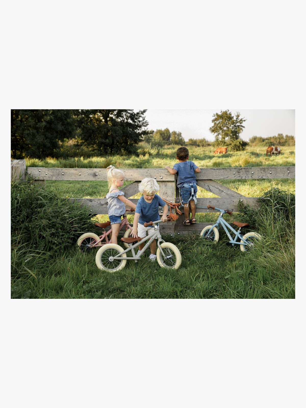 BIKE-LD8002-4563_4b.jpg