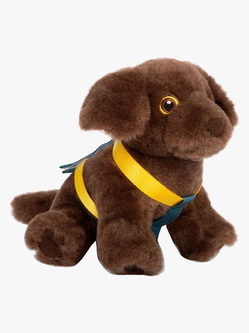 Small Foot Hund med Väska och Skötselset