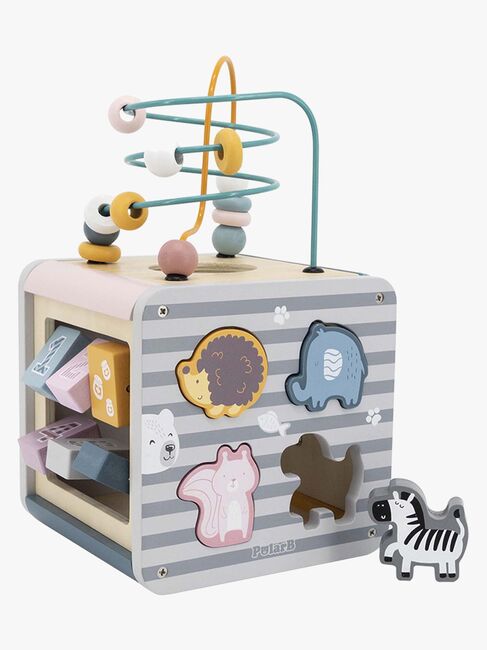 PolarB Aktivitetskub