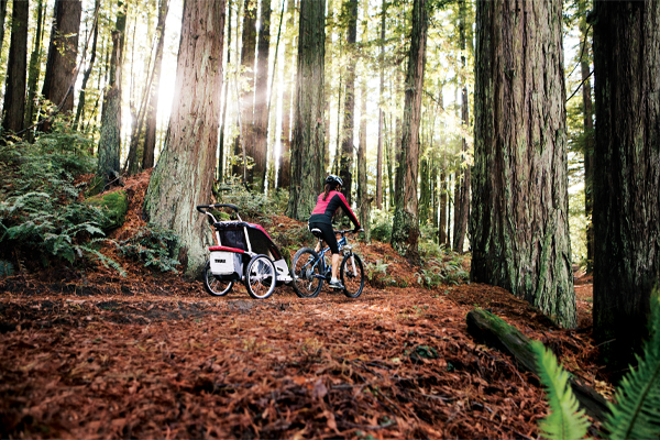 kvinna cykel skog.jpg