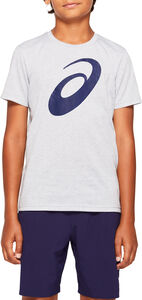 Asics Big Spiral T-shirt, Mid Grey Heather