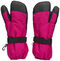 Nordbjørn Snowpro Handskar, Pink